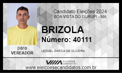 Candidato BRIZOLA 2024 - BOA VISTA DO GURUPI - Eleições