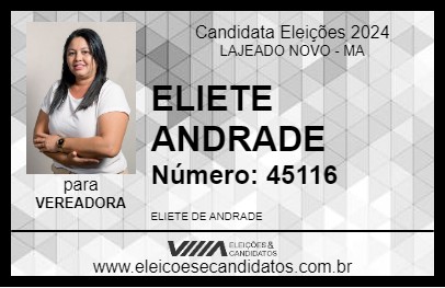 Candidato ELIETE ANDRADE 2024 - LAJEADO NOVO - Eleições