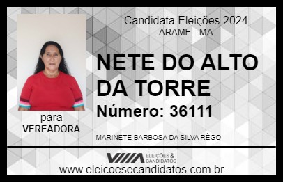 Candidato NETE DO ALTO DA TORRE 2024 - ARAME - Eleições