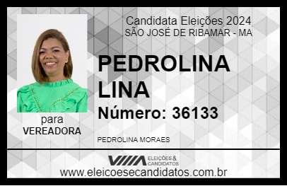 Candidato PEDROLINA LINA 2024 - SÃO JOSÉ DE RIBAMAR - Eleições