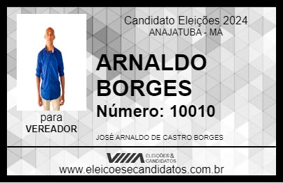 Candidato ARNALDO BORGES 2024 - ANAJATUBA - Eleições