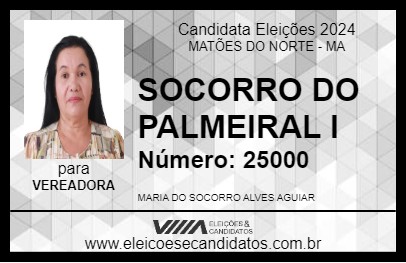 Candidato SOCORRO DO PALMEIRAL I 2024 - MATÕES DO NORTE - Eleições