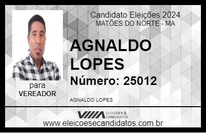 Candidato AGNALDO LOPES 2024 - MATÕES DO NORTE - Eleições