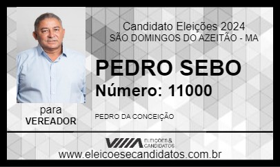 Candidato PEDRO SEBO 2024 - SÃO DOMINGOS DO AZEITÃO - Eleições