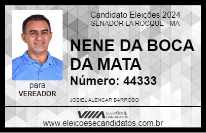 Candidato NENE DA BOCA DA MATA 2024 - SENADOR LA ROCQUE - Eleições