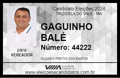 Candidato GAGUINHO BALÉ 2024 - TRIZIDELA DO VALE - Eleições