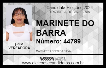 Candidato MARINETE DO BARRA 2024 - TRIZIDELA DO VALE - Eleições