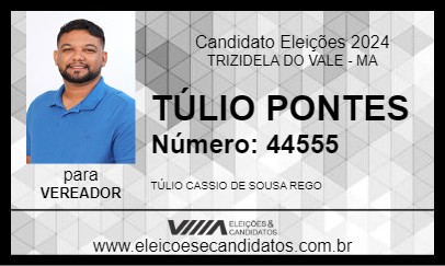 Candidato TÚLIO PONTES 2024 - TRIZIDELA DO VALE - Eleições