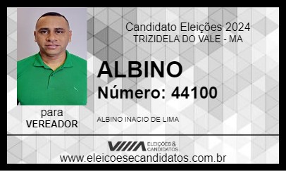 Candidato ALBINO 2024 - TRIZIDELA DO VALE - Eleições