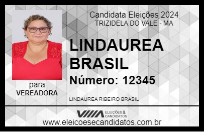 Candidato LINDAUREA BRASIL 2024 - TRIZIDELA DO VALE - Eleições