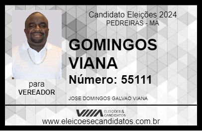 Candidato DOMINGOS VIANA 2024 - PEDREIRAS - Eleições