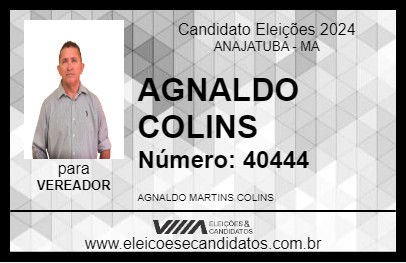 Candidato AGNALDO COLINS 2024 - ANAJATUBA - Eleições