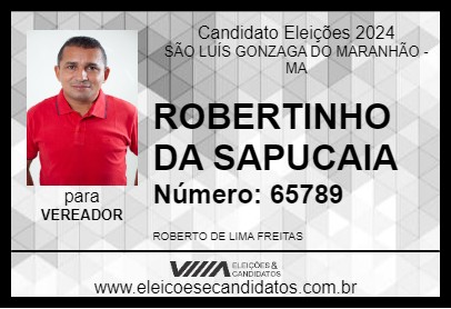 Candidato ROBERTINHO DA SAPUCAIA 2024 - SÃO LUÍS GONZAGA DO MARANHÃO - Eleições