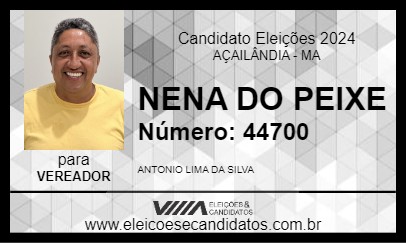 Candidato NENA DO PEIXE 2024 - AÇAILÂNDIA - Eleições