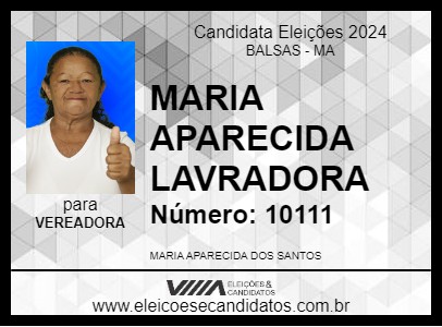 Candidato MARIA APARECIDA LAVRADORA 2024 - BALSAS - Eleições