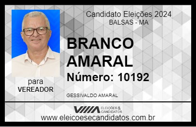 Candidato BRANCO AMARAL 2024 - BALSAS - Eleições