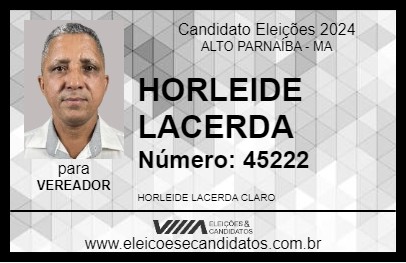 Candidato HORLEIDE LACERDA 2024 - ALTO PARNAÍBA - Eleições