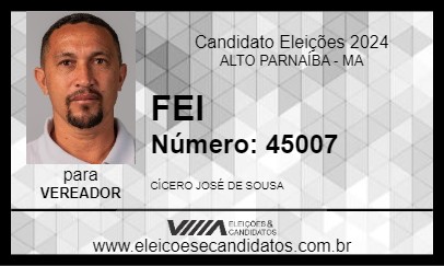 Candidato FEI 2024 - ALTO PARNAÍBA - Eleições