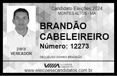 Candidato BRANDÃO CABELEIREIRO 2024 - MONTES ALTOS - Eleições