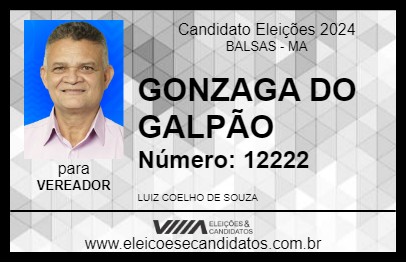 Candidato GONZAGA DO GALPÃO 2024 - BALSAS - Eleições