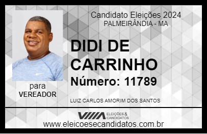 Candidato DIDI DE CARRINHO 2024 - PALMEIRÂNDIA - Eleições