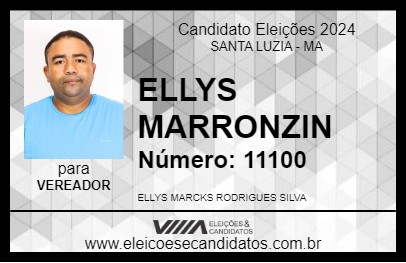 Candidato ELLYS MARRONZIN 2024 - SANTA LUZIA - Eleições