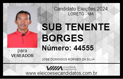 Candidato SUB TENENTE BORGES 2024 - LORETO - Eleições