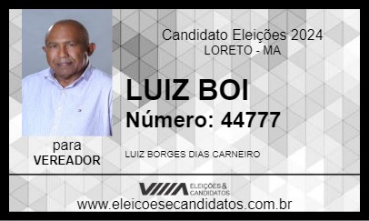 Candidato LUIZ BOI 2024 - LORETO - Eleições