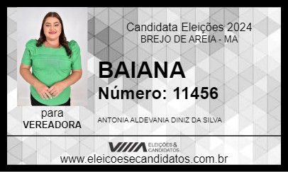 Candidato BAIANA 2024 - BREJO DE AREIA - Eleições