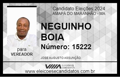 Candidato NEGUINHO BOIA 2024 - AMAPÁ DO MARANHÃO - Eleições