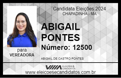 Candidato ABIGAIL PONTES 2024 - CHAPADINHA - Eleições