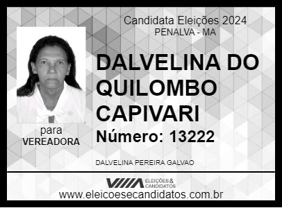 Candidato DALVELINA DO QUILOMBO CAPIVARI 2024 - PENALVA - Eleições