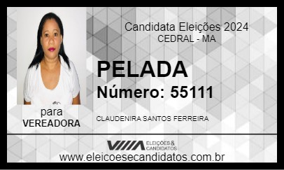 Candidato PELADA 2024 - CEDRAL - Eleições