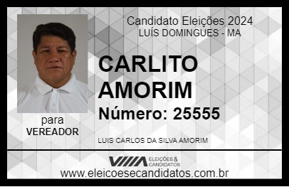 Candidato CARLITO AMORIM 2024 - LUÍS DOMINGUES - Eleições