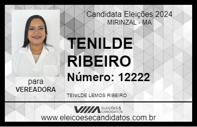 Candidato TENILDE RIBEIRO 2024 - MIRINZAL - Eleições