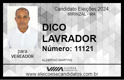 Candidato DICO LAVRADOR 2024 - MIRINZAL - Eleições