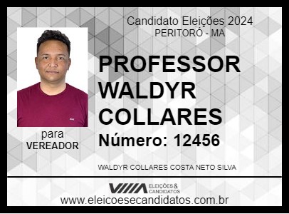 Candidato PROFESSOR WALDYR COLLARES 2024 - PERITORÓ - Eleições