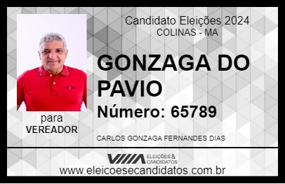 Candidato GONZAGA DO PAVIO 2024 - COLINAS - Eleições