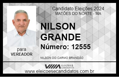 Candidato NILSON GRANDE 2024 - MATÕES DO NORTE - Eleições