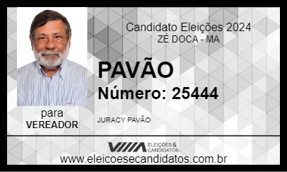 Candidato PAVÃO 2024 - ZÉ DOCA - Eleições