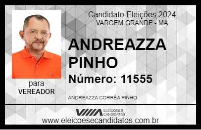 Candidato ANDREAZZA PINHO 2024 - VARGEM GRANDE - Eleições