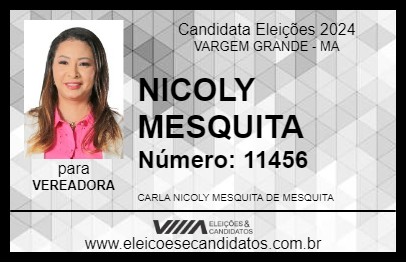 Candidato NICOLY MESQUITA 2024 - VARGEM GRANDE - Eleições