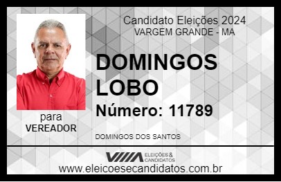 Candidato DOMINGOS LOBO 2024 - VARGEM GRANDE - Eleições