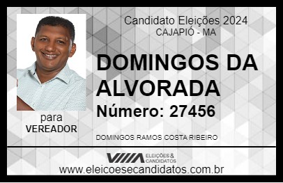 Candidato DOMINGOS DA ALVORADA 2024 - CAJAPIÓ - Eleições