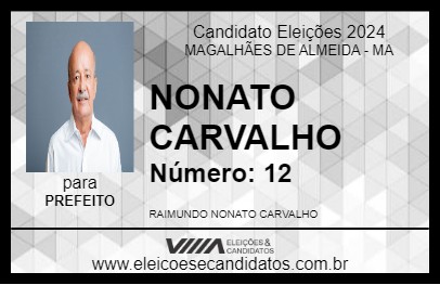 Candidato NONATO CARVALHO 2024 - MAGALHÃES DE ALMEIDA - Eleições