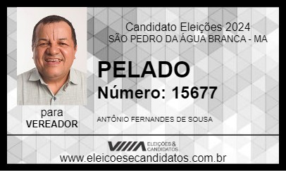 Candidato PELADO 2024 - SÃO PEDRO DA ÁGUA BRANCA - Eleições