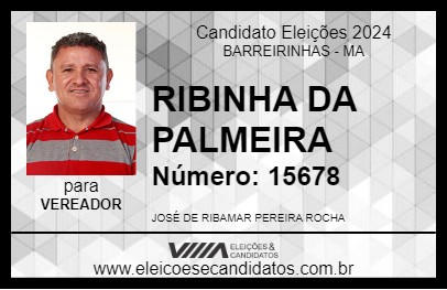 Candidato RIBINHA DA PALMEIRA 2024 - BARREIRINHAS - Eleições