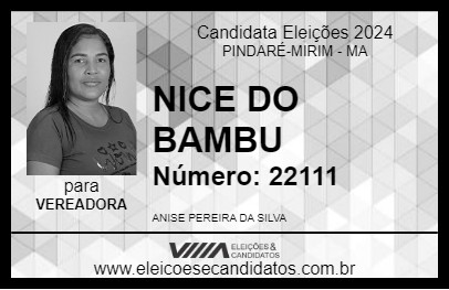 Candidato NICE DO BAMBU 2024 - PINDARÉ-MIRIM - Eleições