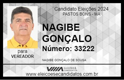 Candidato NAGIBE GONÇALO 2024 - PASTOS BONS - Eleições