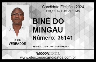 Candidato BINÉ DO MINGAU 2024 - PAÇO DO LUMIAR - Eleições